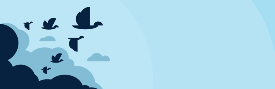 WP Migrate DB WP Migrate DB